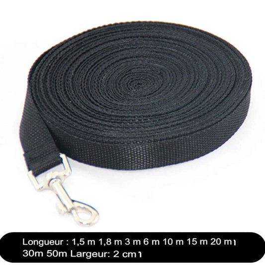 Laisse en nylon ultra-résistante pour grands chiens – Sécurité et confort