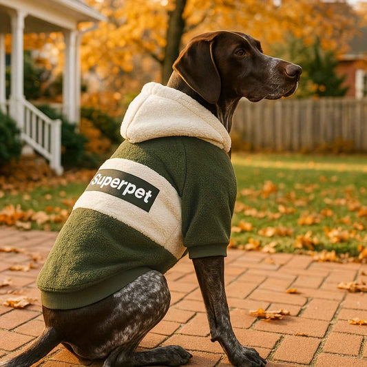 Manteau à capuche pour chien hiver – maille douce et chaude, vêtement épaissi pour chiens moyens et grands (Bouledogue, Labrador, Rottweiler)