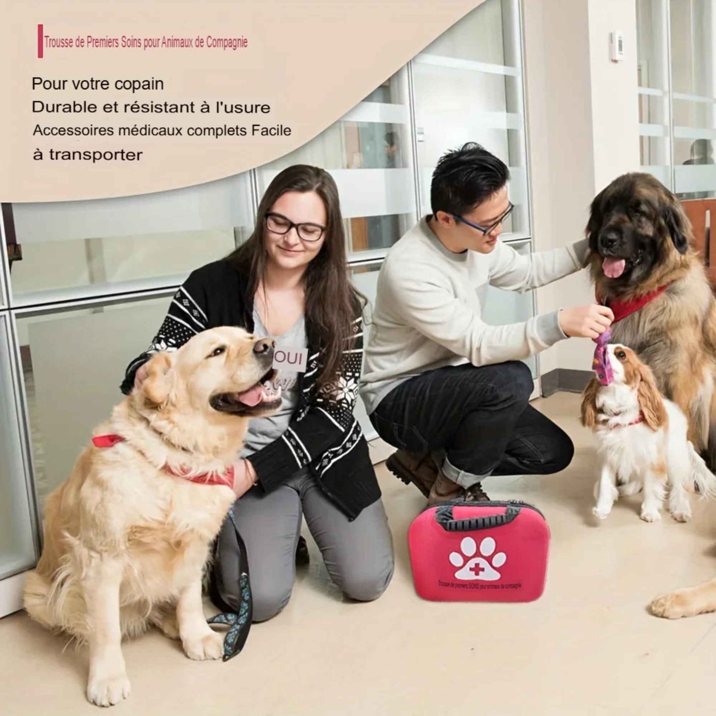 Trousse de premiers secours pour chien et chat – Kit d’urgence EVA portable 61 pièces pour voyage, camping et activités extérieures