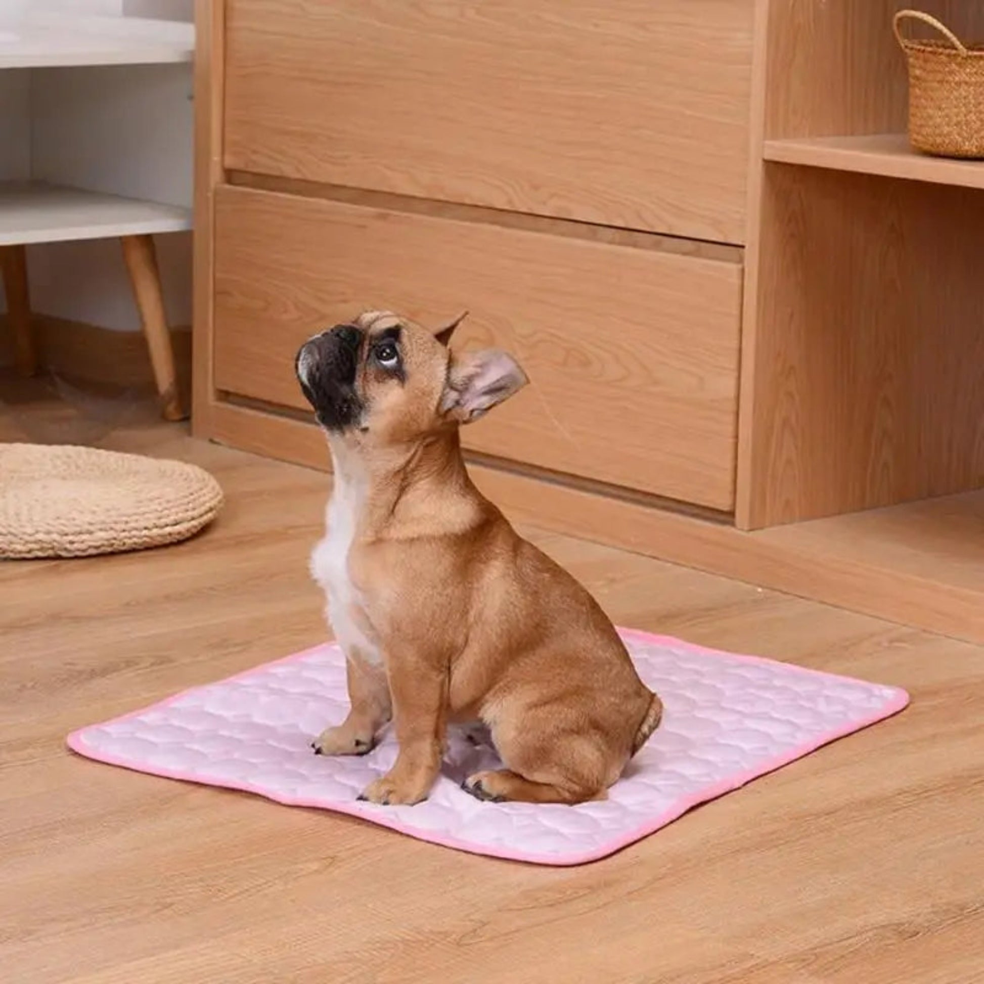 Tapis rafraîchissant pour chien et chat – Confort, fraîcheur et anti-chaleur - Le Panier du Chien