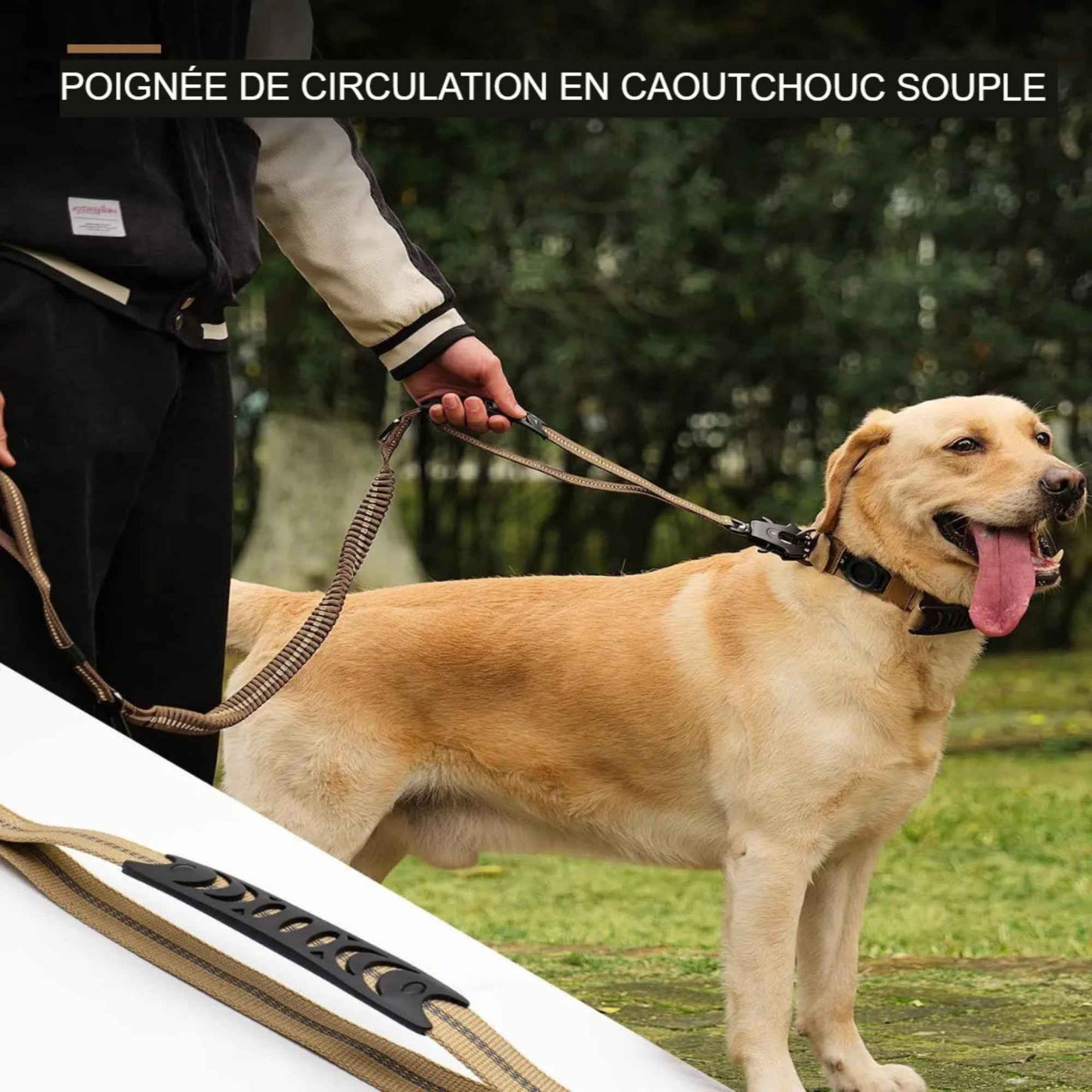 Laisse élastique réfléchissante avec ceinture de sécurité – Balades fluides et sécurité pour chien