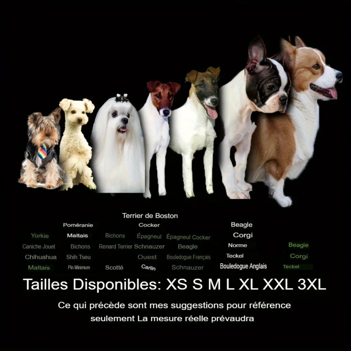 Chaussures résistantes à l’eau pour petits chiens – 4 pièces, bottes de pluie confortables - Le Panier du Chien