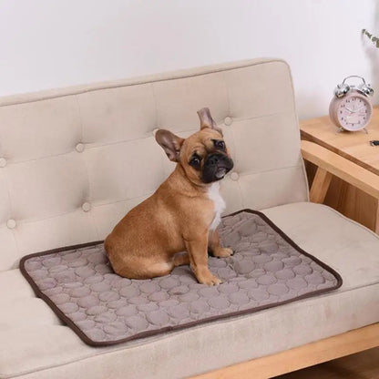 Tapis rafraîchissant pour chien et chat – Confort, fraîcheur et anti-chaleur - Le Panier du Chien