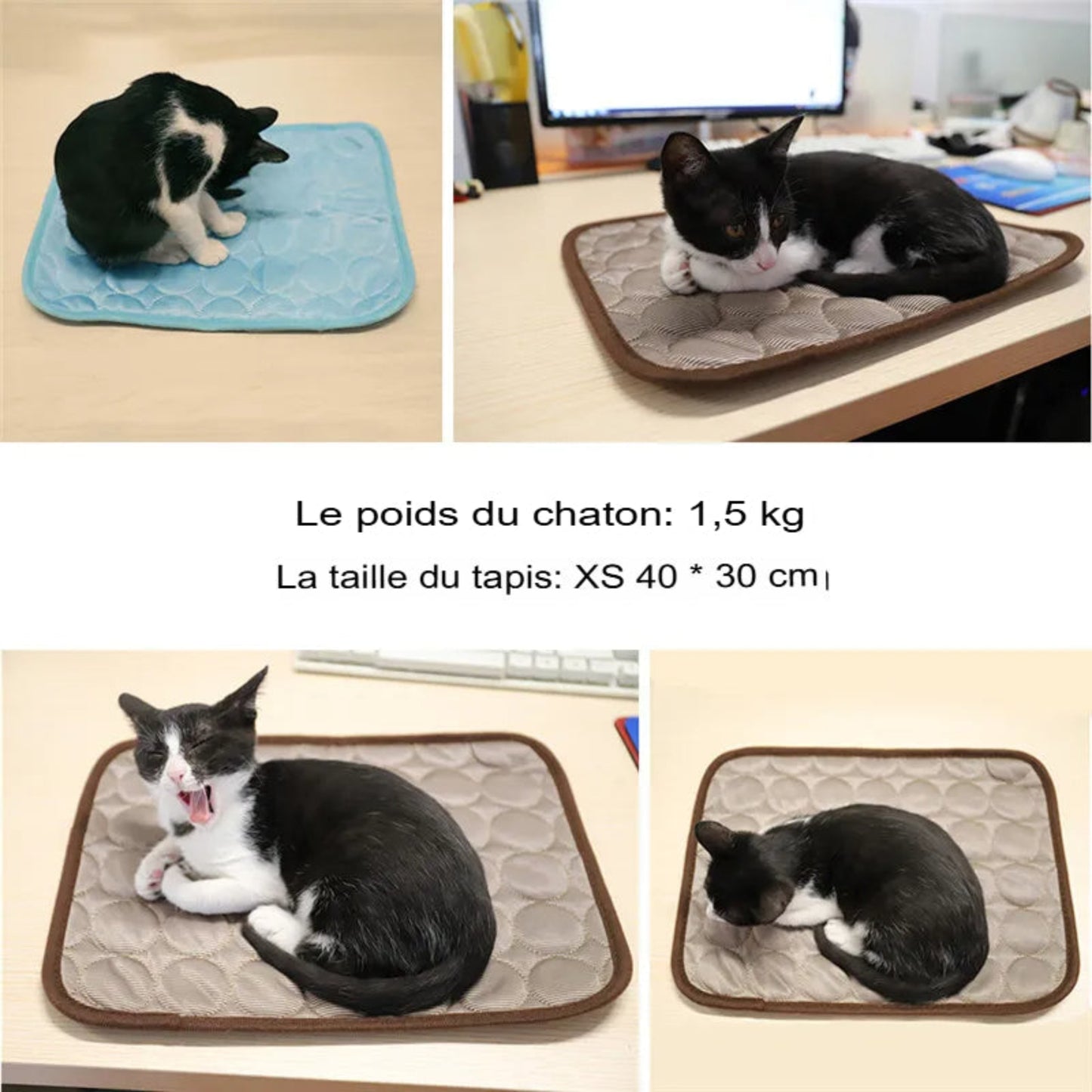 Tapis rafraîchissant pour chien et chat – Confort, fraîcheur et anti-chaleur - Le Panier du Chien