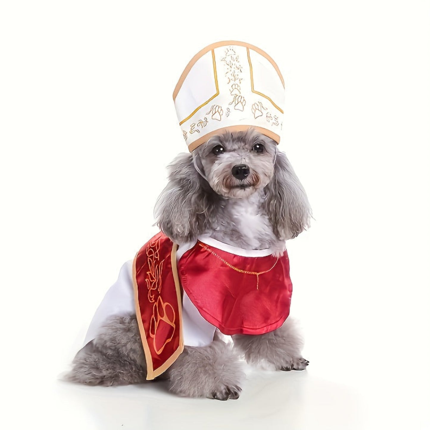 Costume pour chien petits et moyens, déguisement Halloween et Noël, ajustable