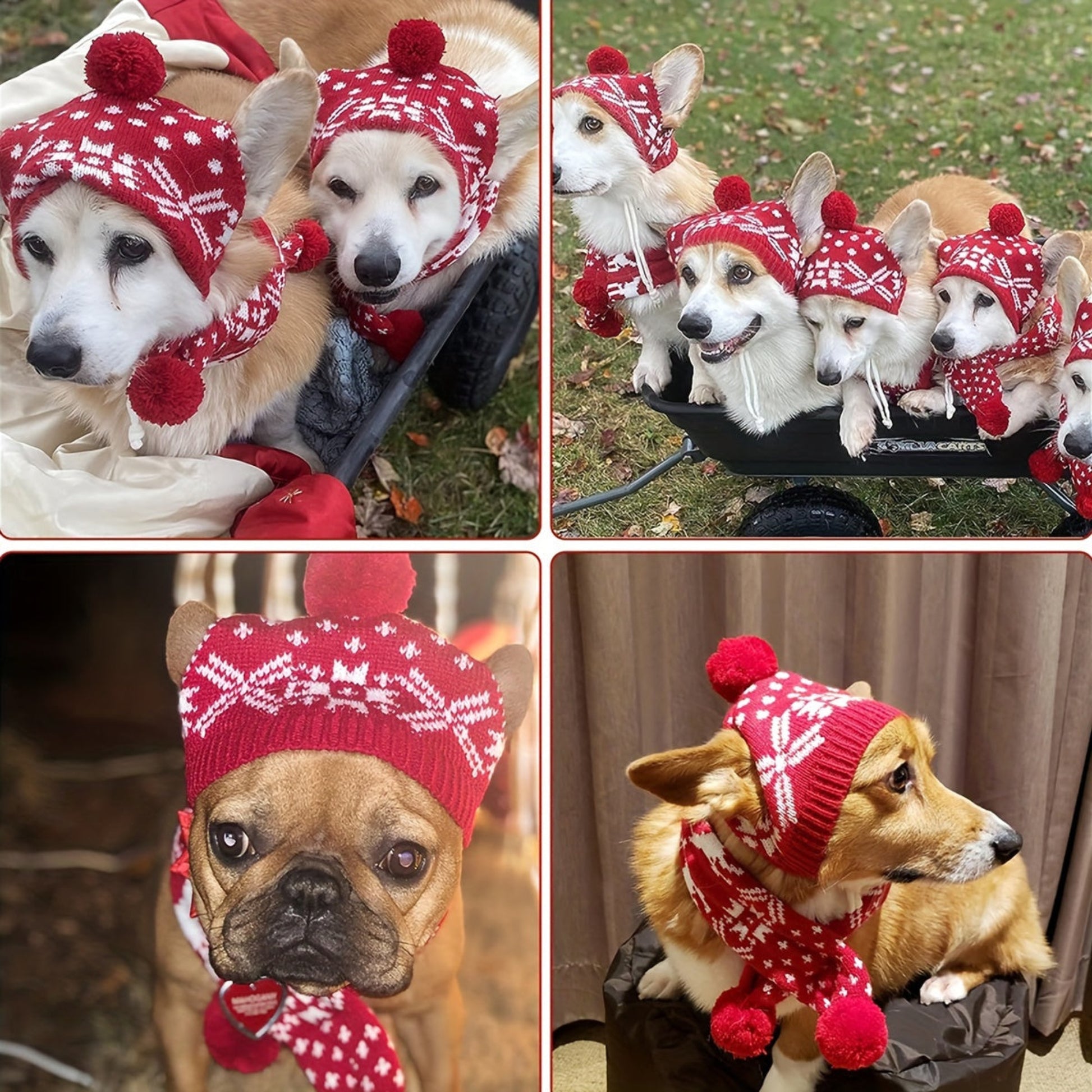 Chapeau et écharpe d’hiver rouges et blancs pour chien et chat avec motifs flocon et renne