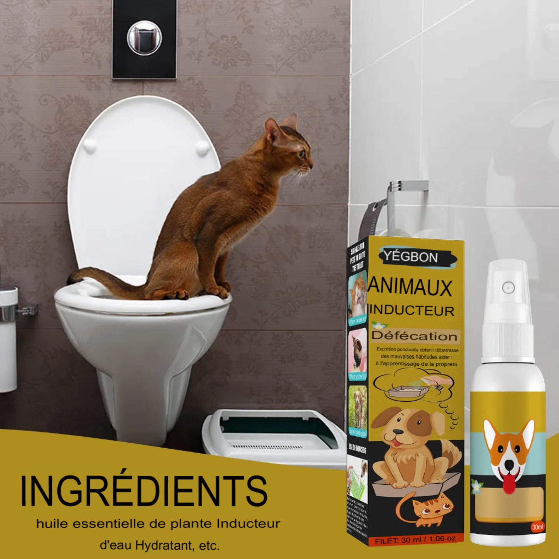 Inducteur de défécation PupMED pour chiens et chats, pot d'entraînement facile