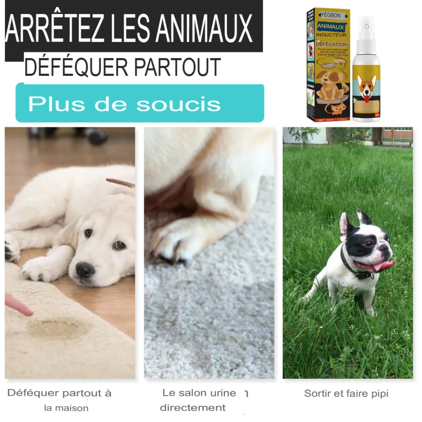 Inducteur de défécation PupMED pour chiens et chats, pot d'entraînement facile