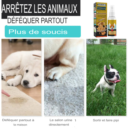 Inducteur de défécation PupMED pour chiens et chats, pot d'entraînement facile