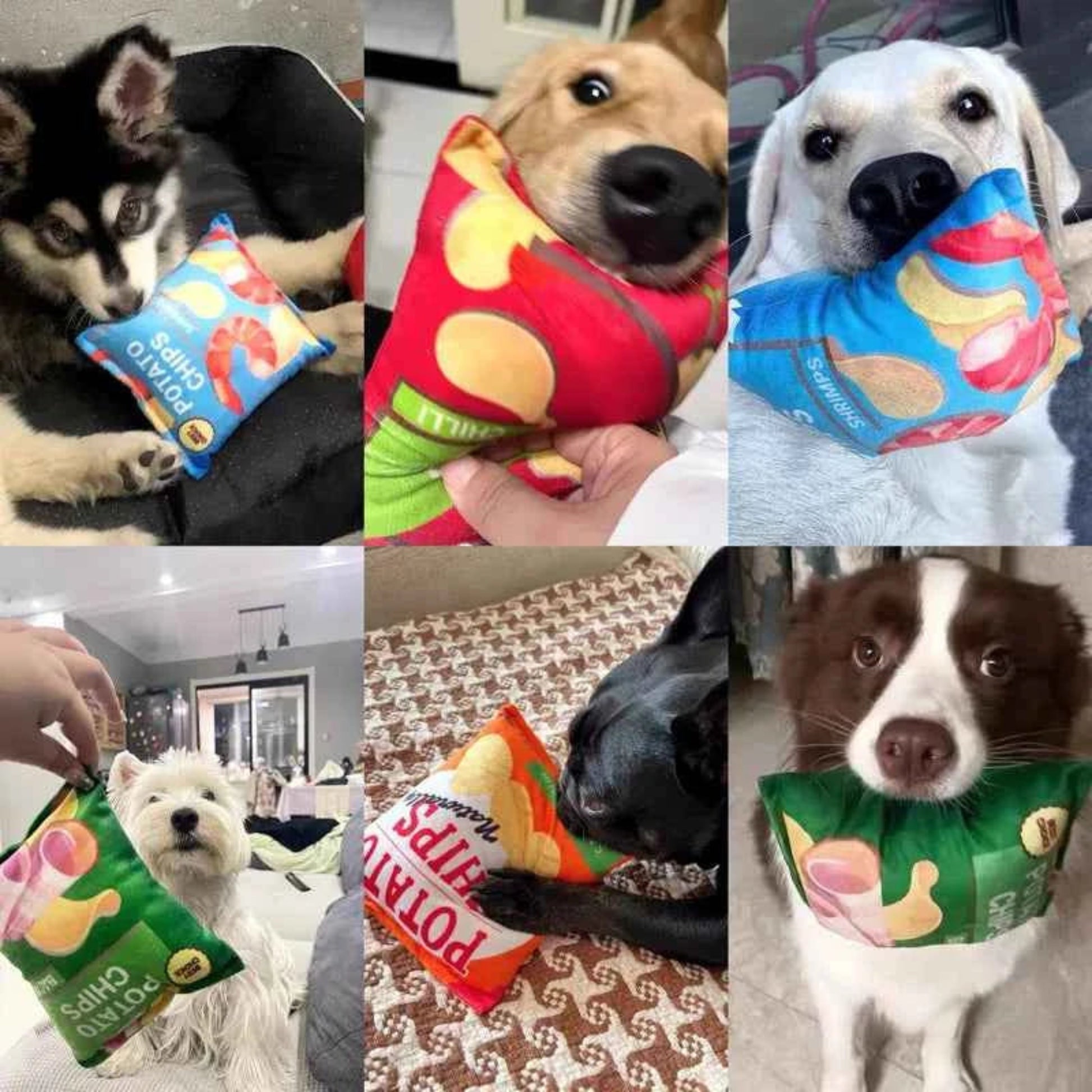 Jouets amusants pour chiens, Chips en peluche rempli d'animaux, jouet à mâcher grinçant, jouets en papier sonore résistants aux morsures pour petits et moyens animaux de compagnie, fournitures