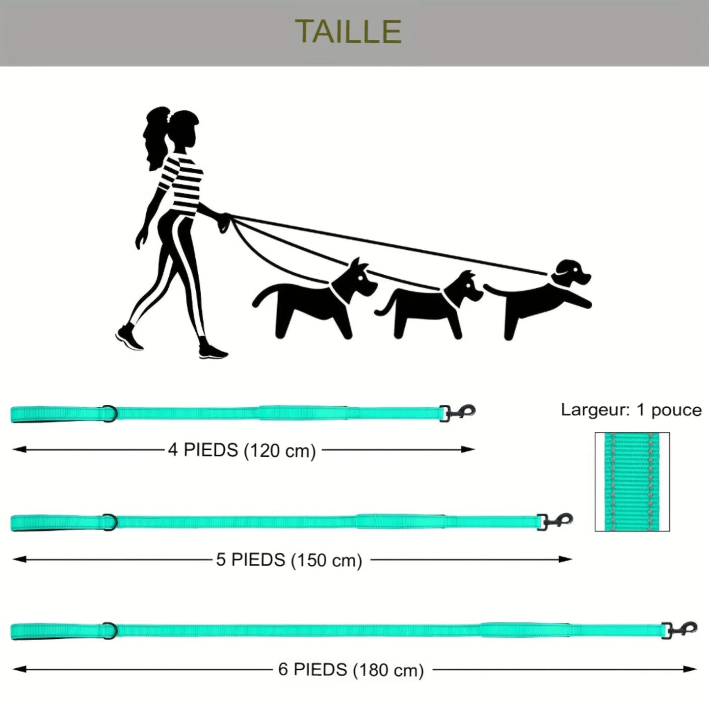 Laisse réfléchissante à double poignée pour chien moyen et grand, sécurité nocturne renforcée