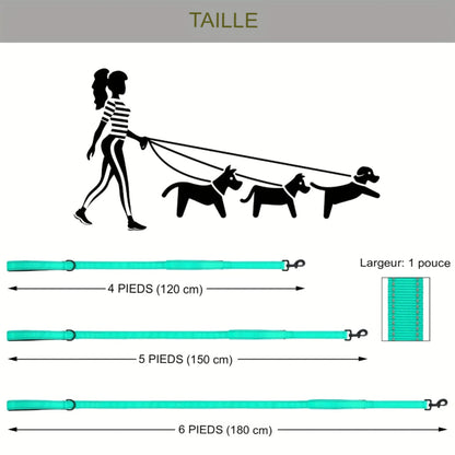 Laisse réfléchissante à double poignée pour chien moyen et grand, sécurité nocturne renforcée
