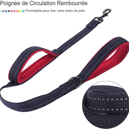 Laisse réfléchissante à double poignée pour chien moyen et grand, sécurité nocturne renforcée