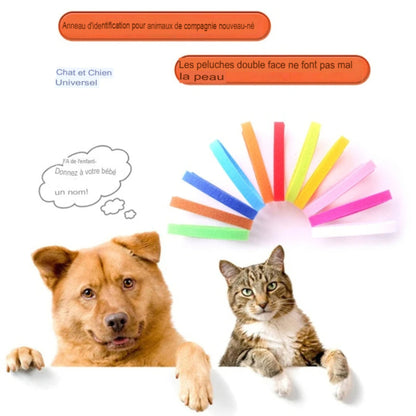 12 colliers couleurs pour chiots et chats – Identification, réglables avec crochet et boucle - Le Panier du Chien
