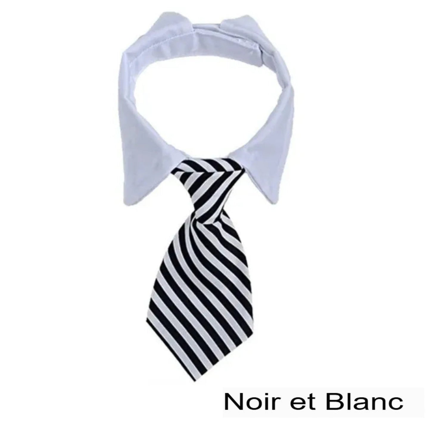 Nœud papillon réglable pour chiot, cravate élégante pour chiens et chats