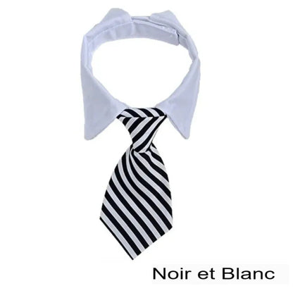 Nœud papillon réglable pour chiot, cravate élégante pour chiens et chats