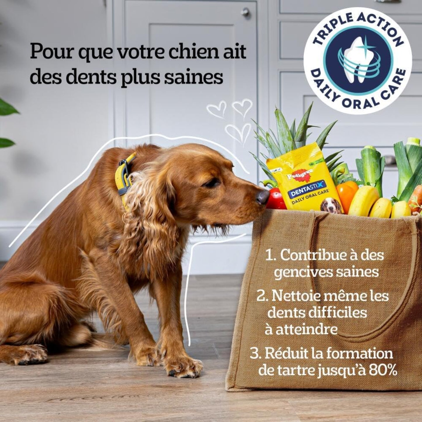 PEDIGREE DENTASTIX 56 Bâtonnets à Mâcher pour Petits Chiens 5-10kg, 8 Sachets de 7, Saveur Poulet et Bœuf, Détartrage Dentaire Chien, Soins Dentaires pour Chien