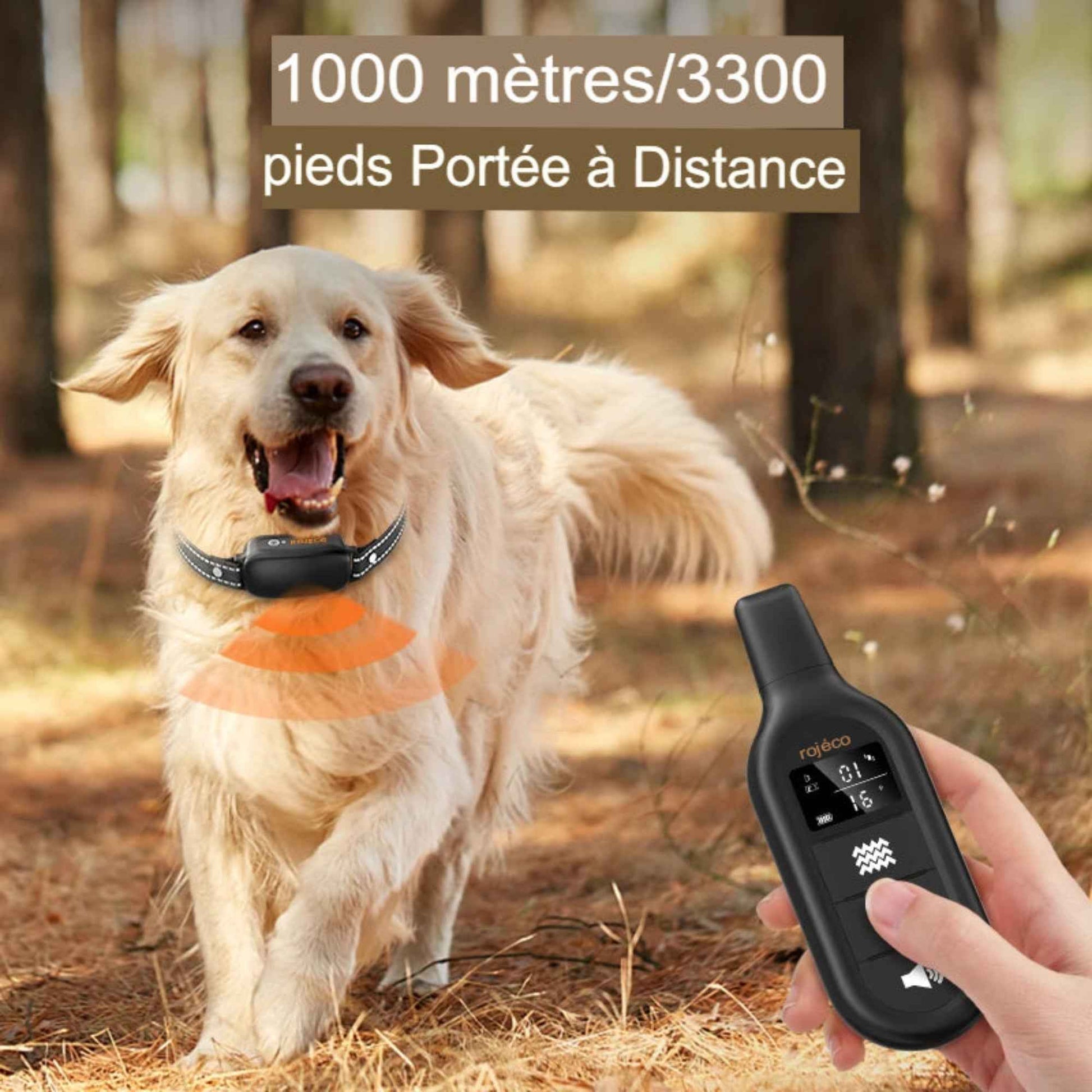 ROJECO collier de dressage électrique chien – Télécommande numérique, vibrations, mode choc, étanche IPX7, anti-aboiement