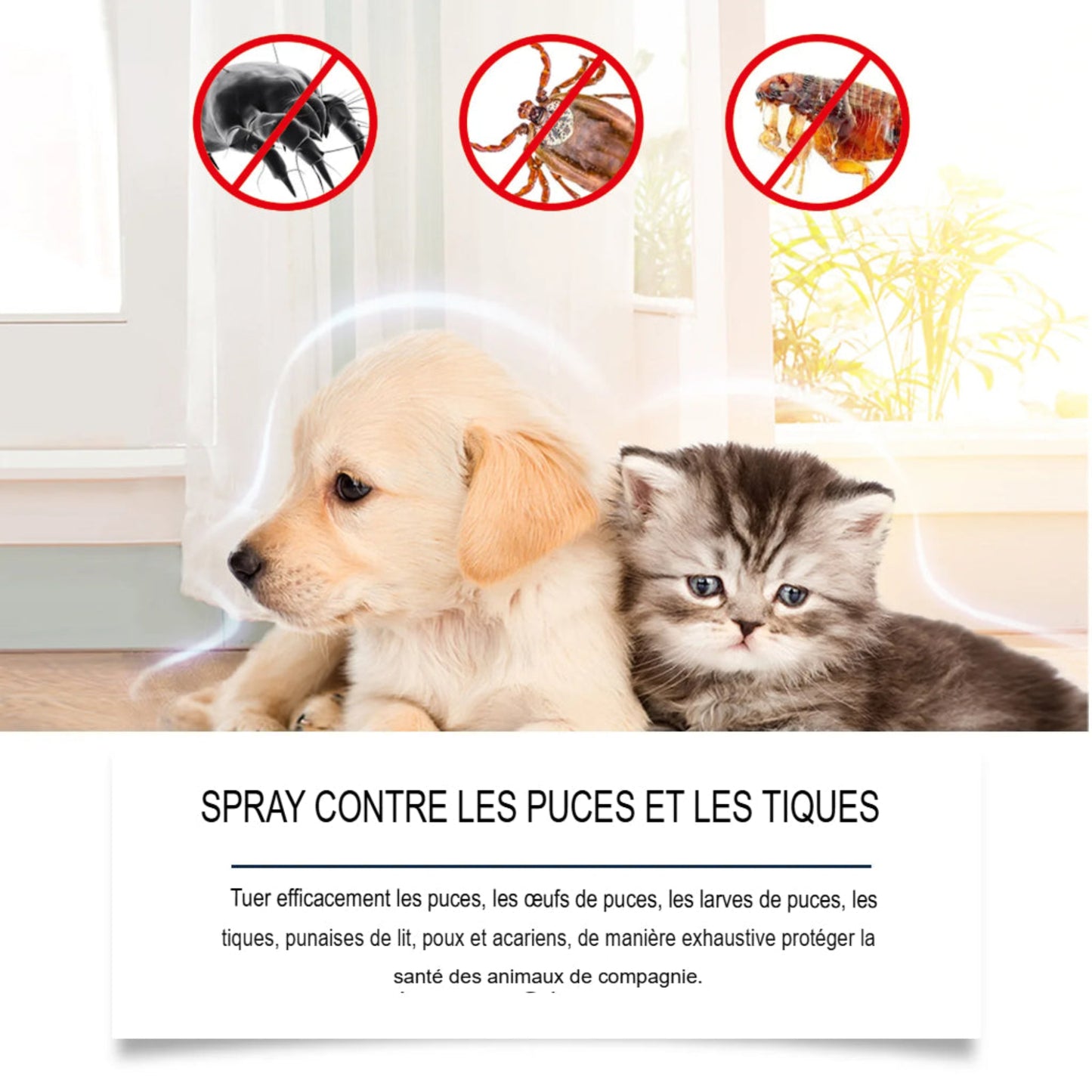 Spray anti-acariens pour chien et chat, élimine puces et tiques