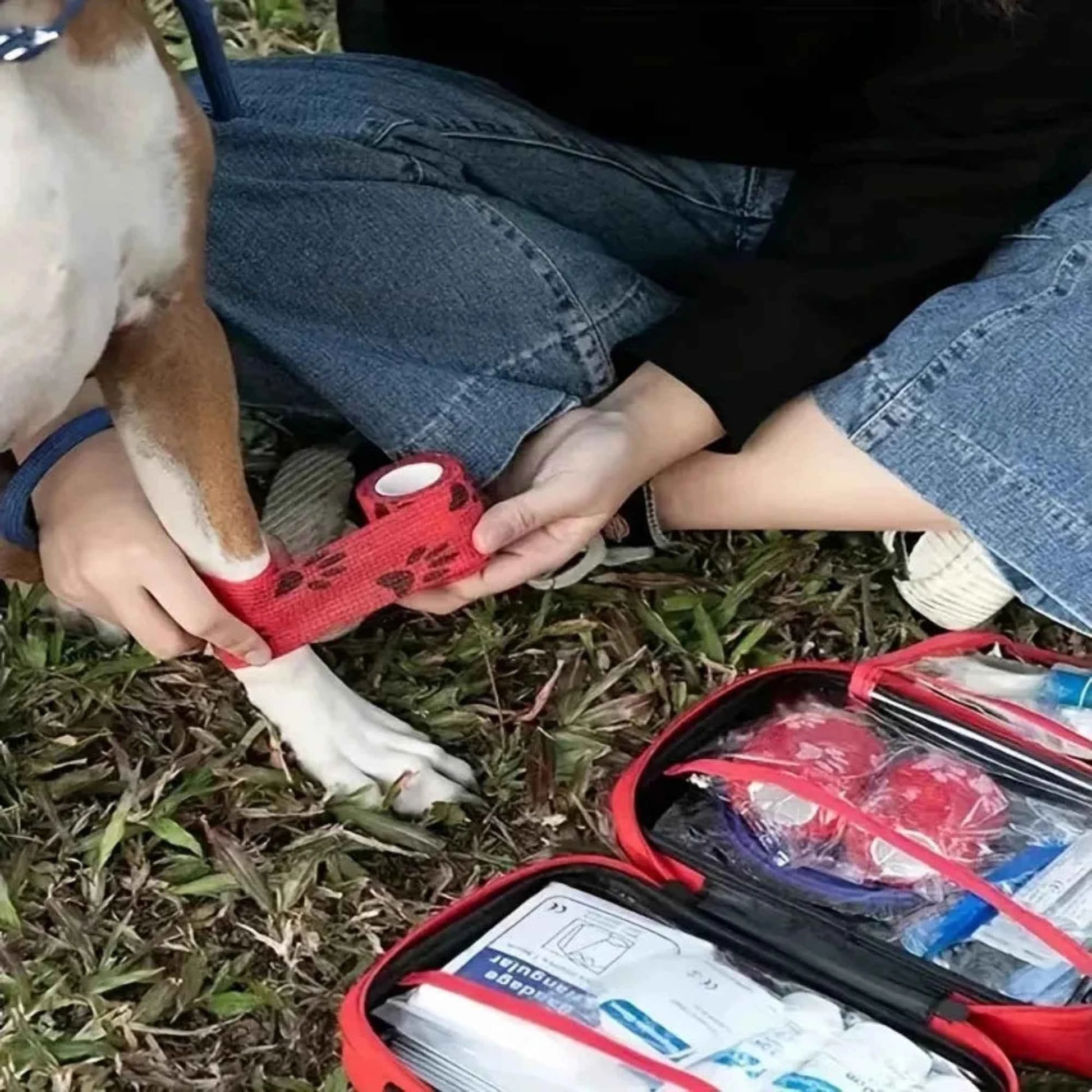 Trousse de premiers secours compacte pour chien et chat – Kit d’urgence portable pour voyage, camping et sacs à dos