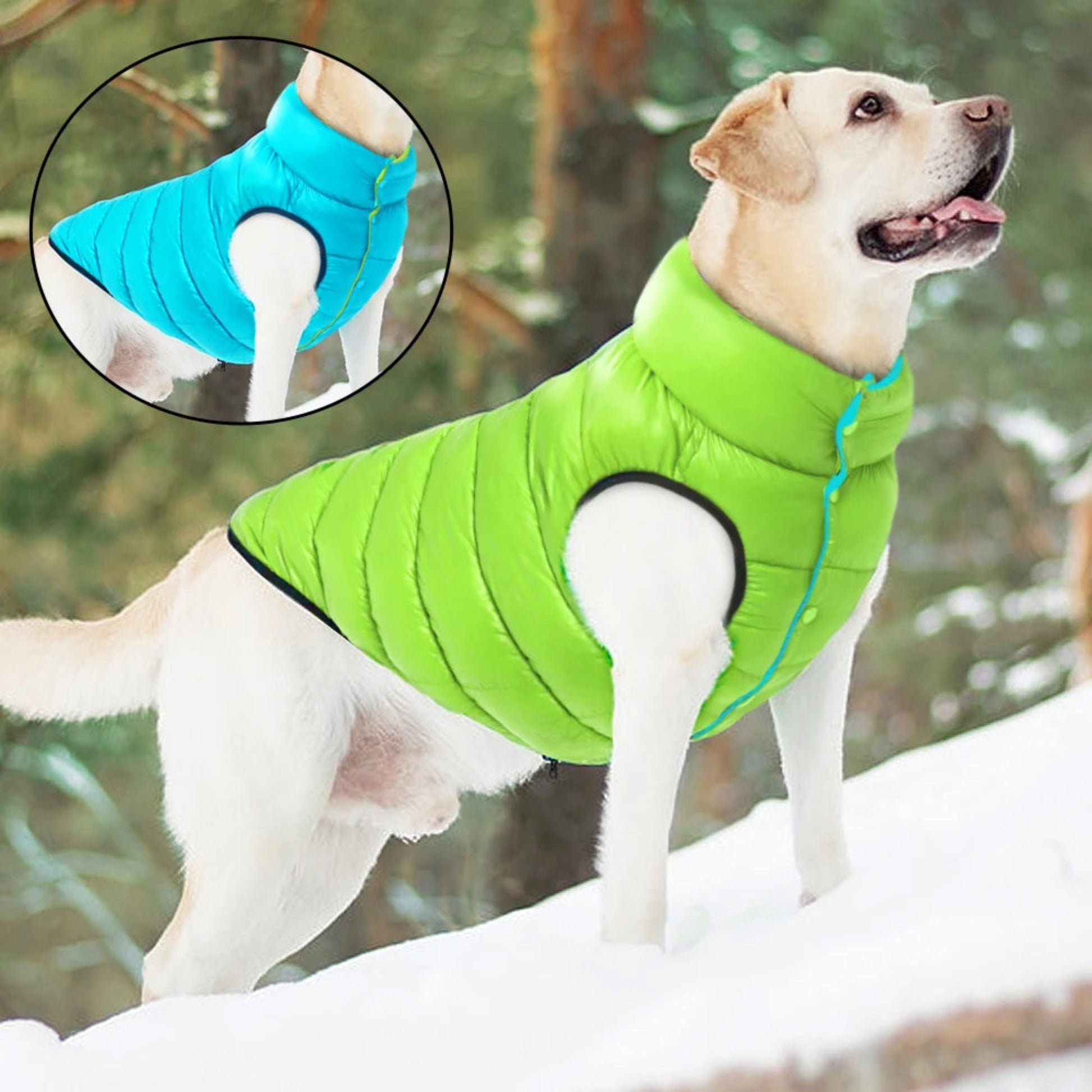 Veste réversible imperméable pour chien, manteau chaud 3 couches hiver